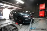  2.0 TSI GTI Performance